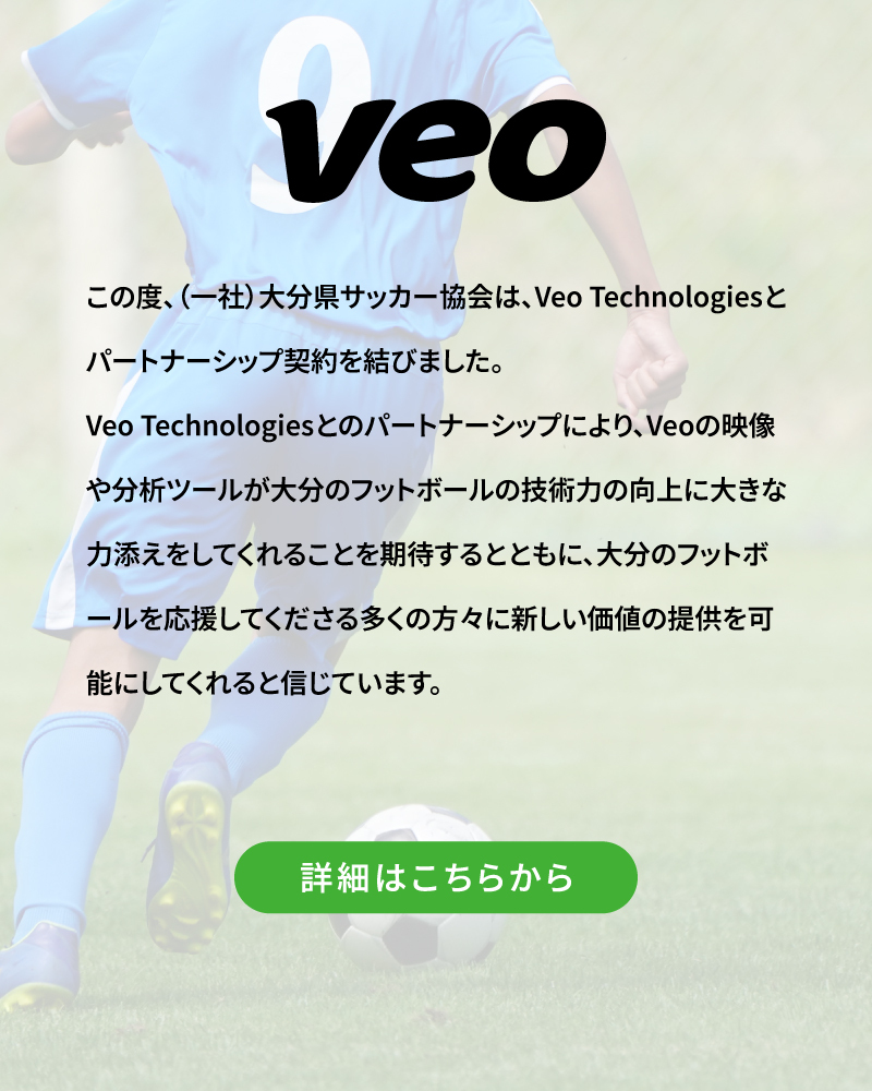 Veo Technologies